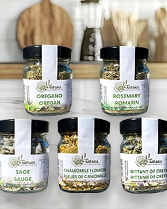 5 Spice bottles on a kitchen counter.